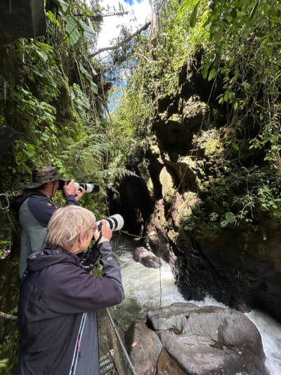 Santuario Secreto: Aviturismo en Jardín y la Cueva de los Guácharos en Jardín, Antioquia – foto 2