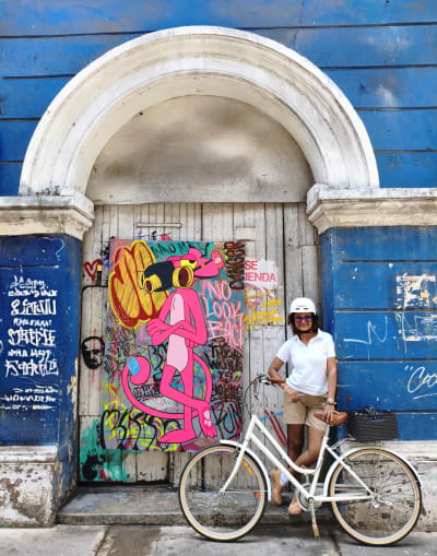Guianza privada y personalizada en español e inglés en Cartagena de Indias, Bolívar – foto 5