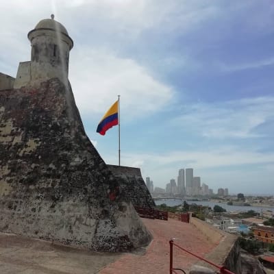 City Tour Bus Tradicional y Recorrido por el Manglar de Chambacú en Cartagena de Indias, Bolívar – foto 6
