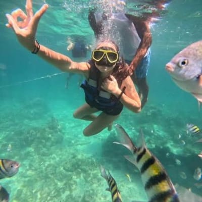 Explora 4 Destinos en Islas del Rosario con almuerzo. en Cartagena de Indias, Bolívar – foto 5