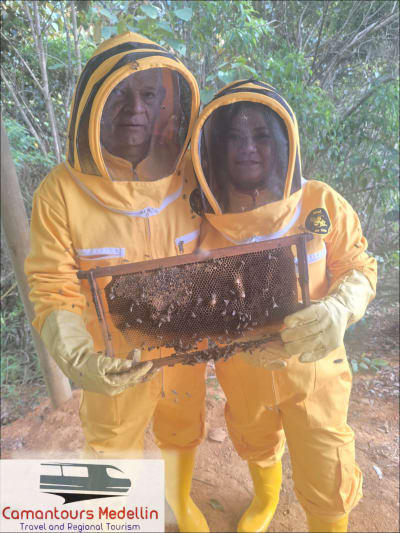 Tours de Miel y Abejas en Medellín, Antioquia – foto 3