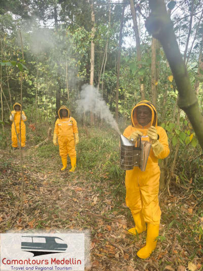 Tours de Miel y Abejas en Medellín, Antioquia – foto 7