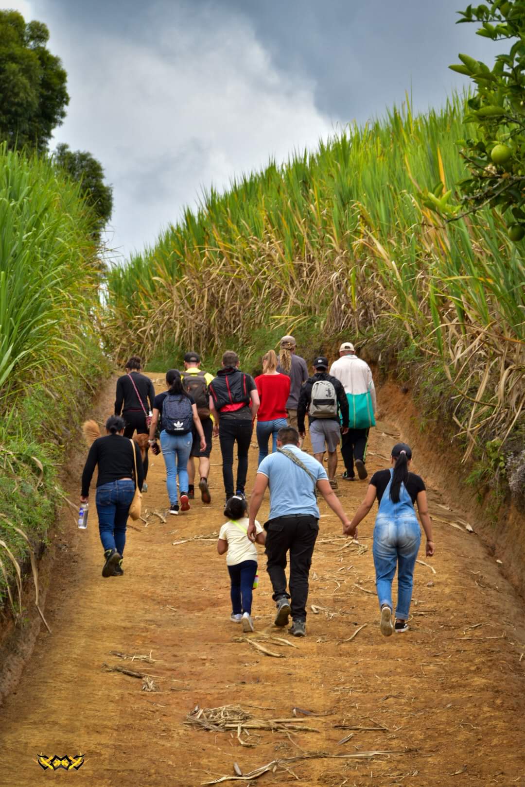Camino de las Entidades – Experiencias en San Agustín, Huila · foto 1