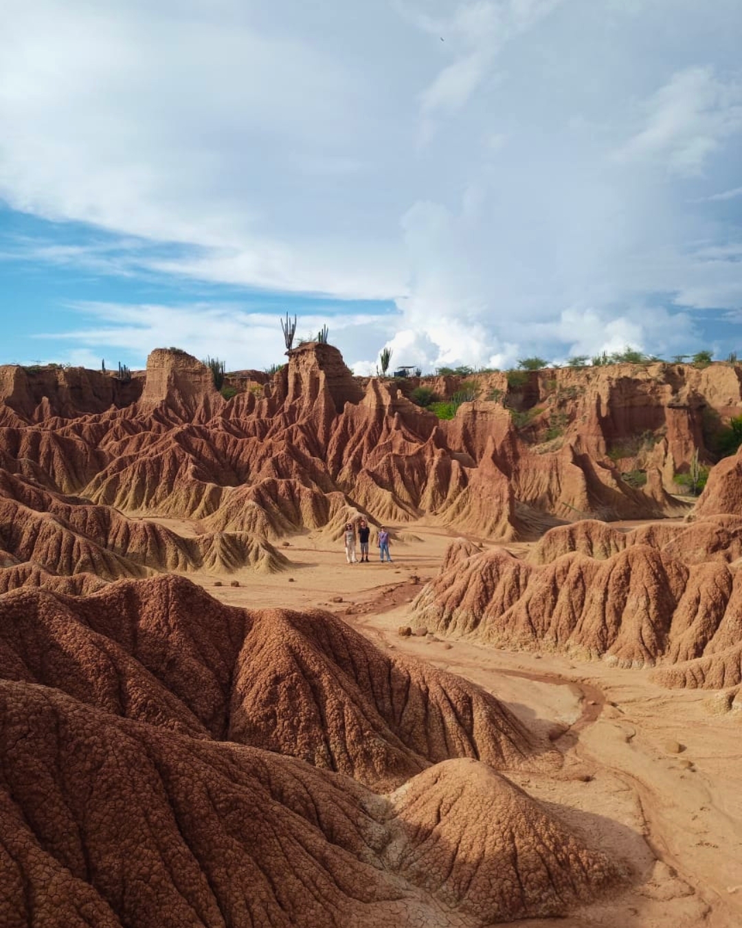 Tatacoa 2 días: desierto, estrellas y paisajes de otro planeta – Paquete en Villavieja, Huila · foto 1