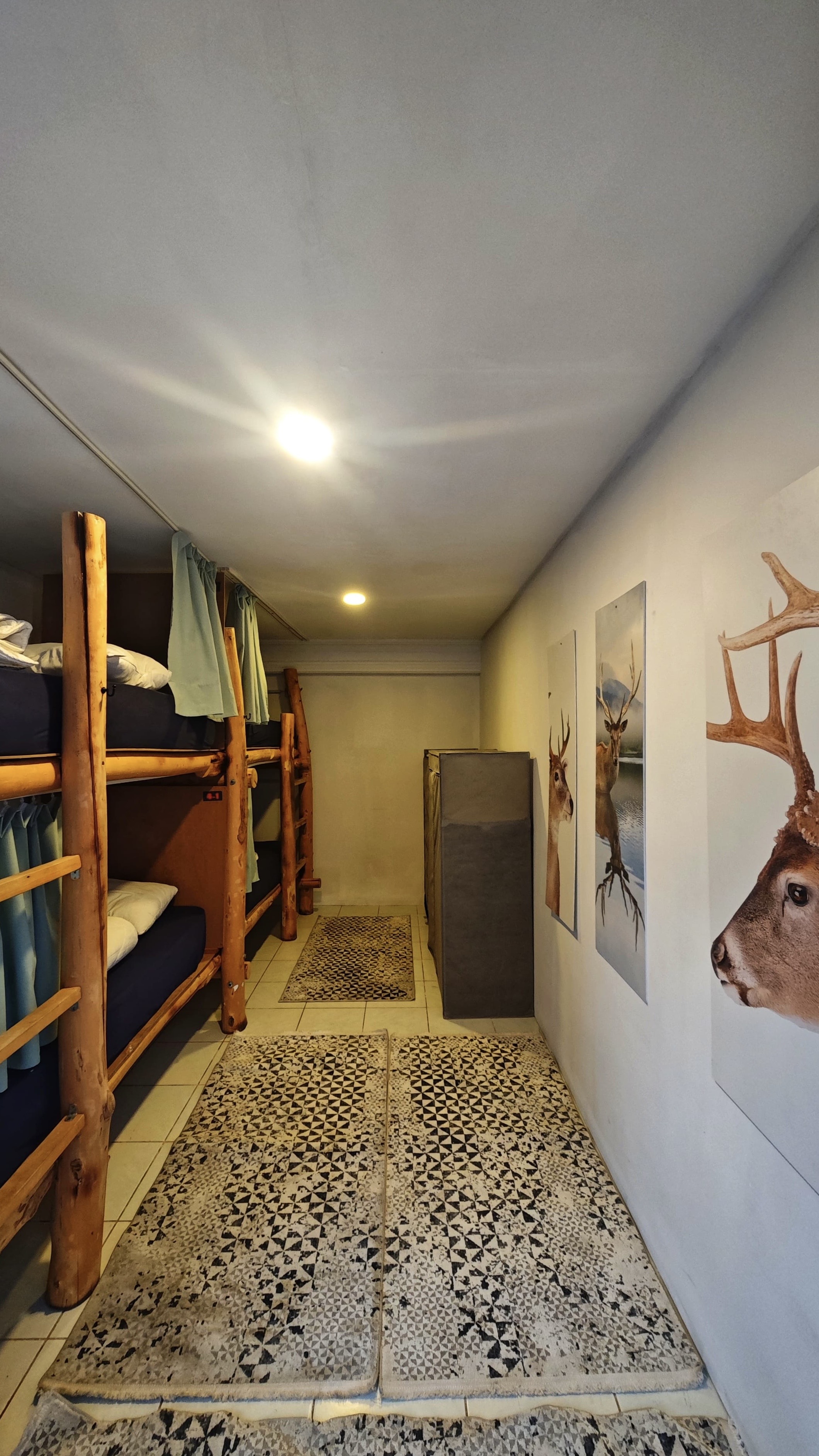 Camp & Hostel photo 99