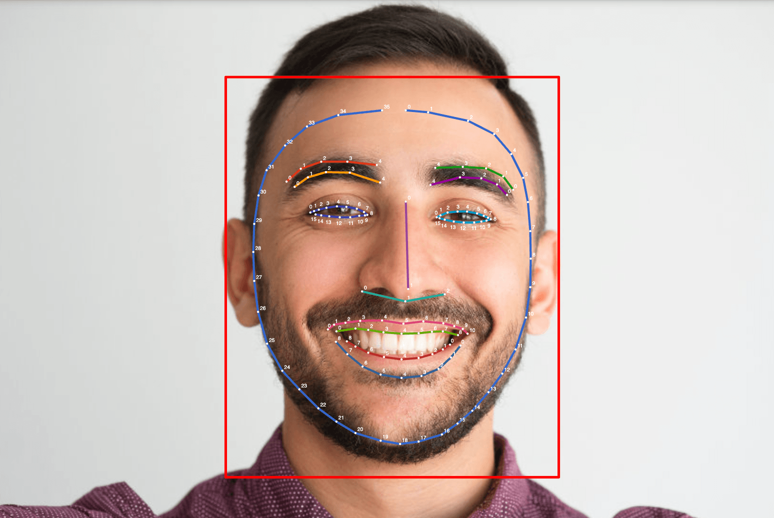 face-contour.png