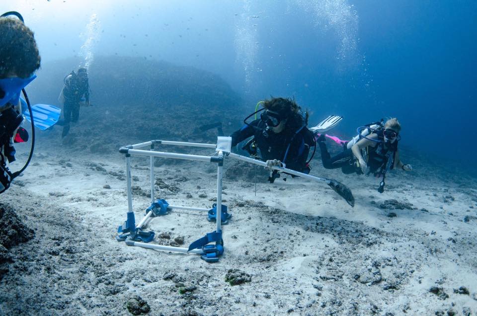 Marine Biology Career Network