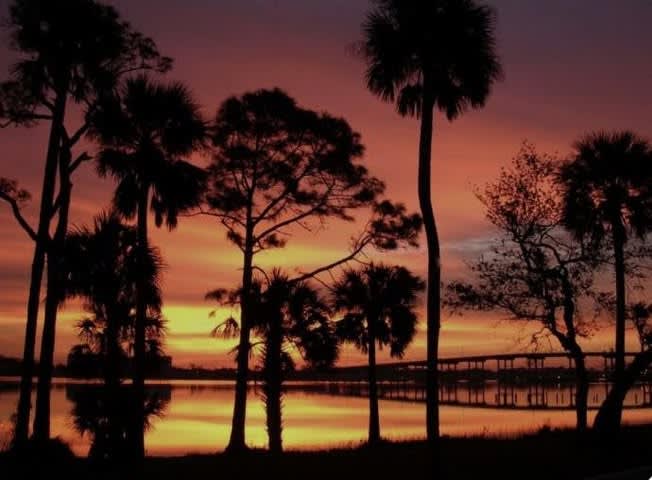 What’s Happening in Port Orange