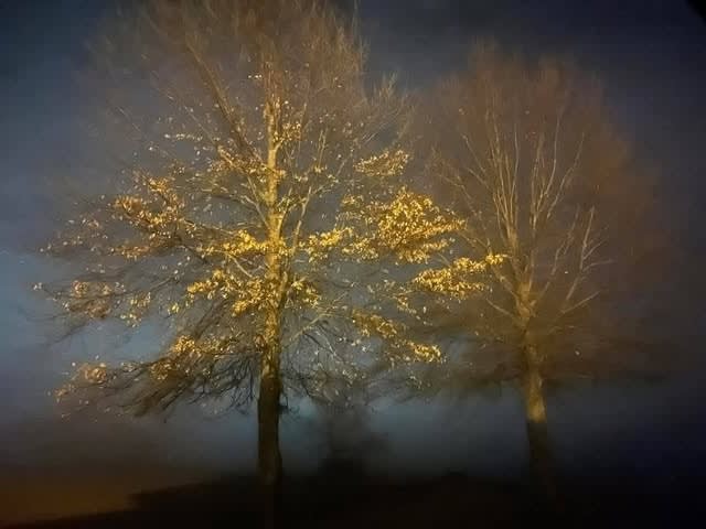 Findlay, Ohio: Neighbors Helping Neighbors