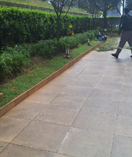 Jardim — Detalhe — depois