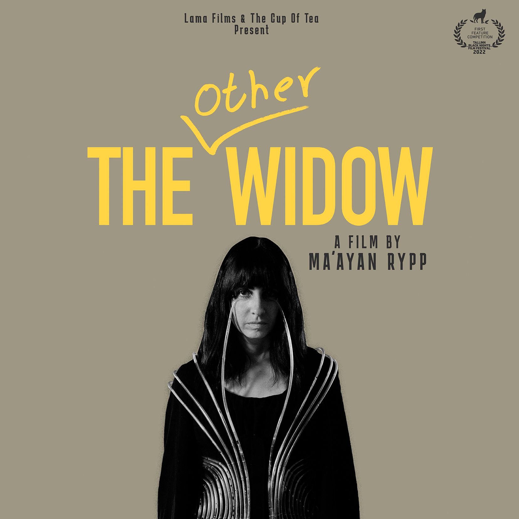 THE OTHER WIDOW
