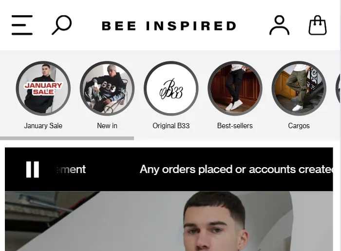 beeinspired-website