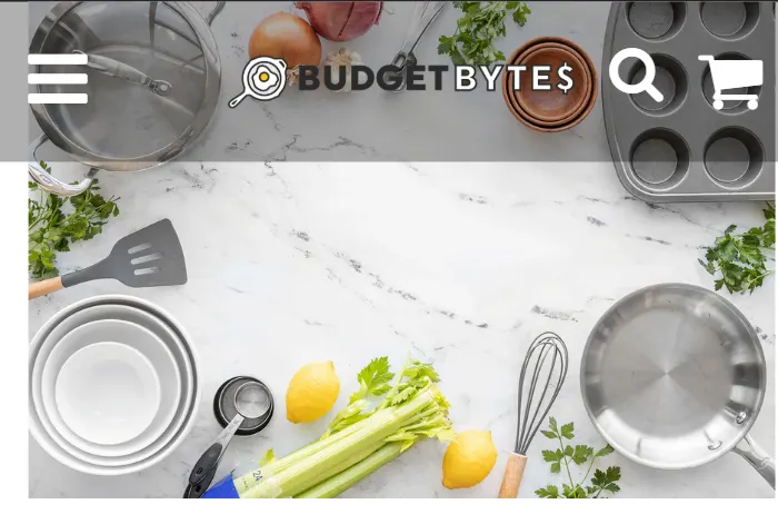 budget-bytes-food-and-recipe-ecommerce-brand