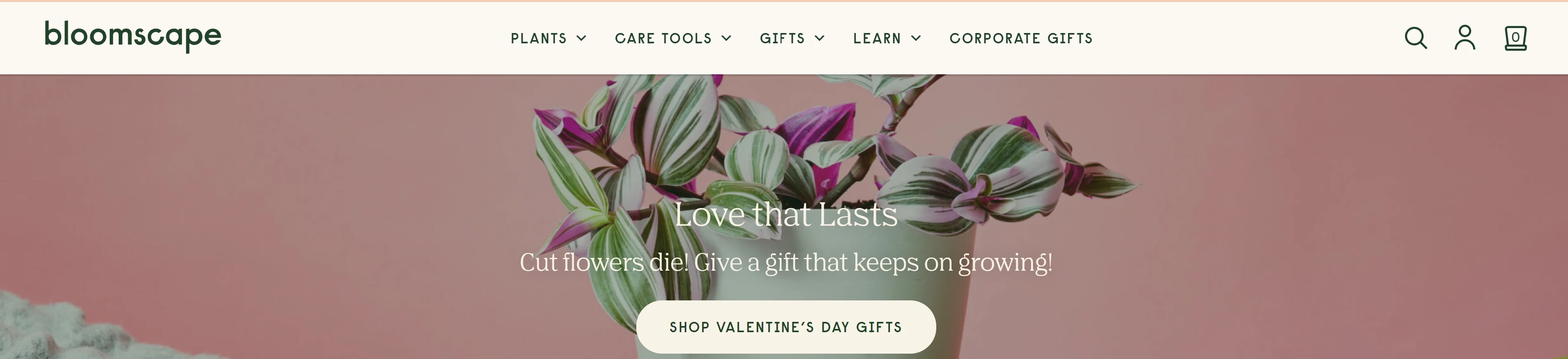 indoor-plants-home-decor-brand