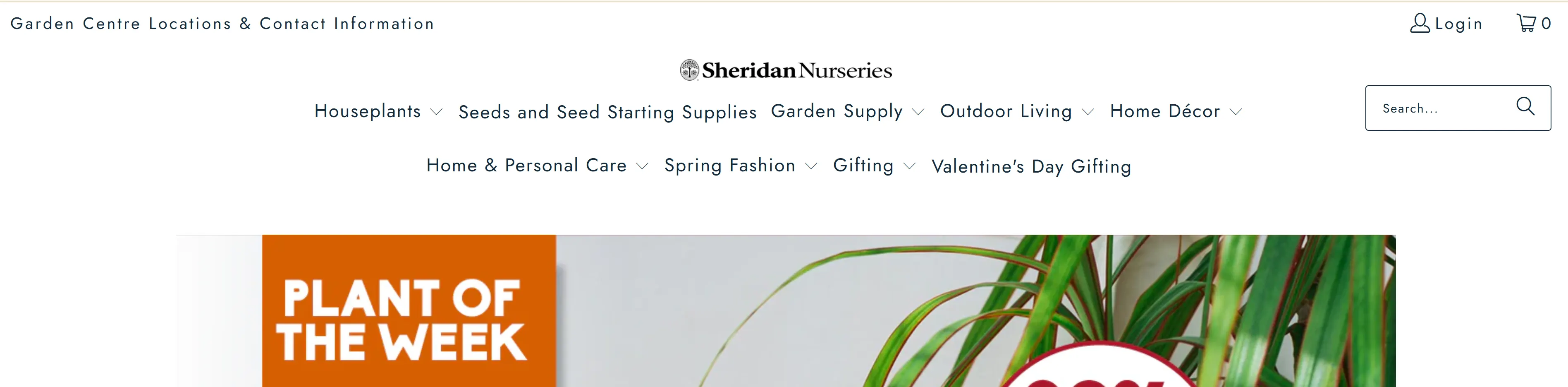 premium-garden-centre-seasonal-plants
