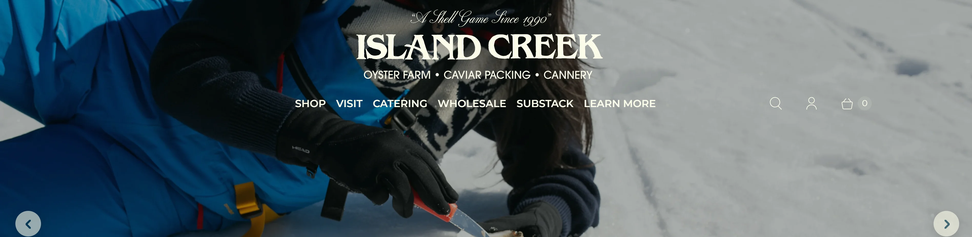 premium-oysters-seafood