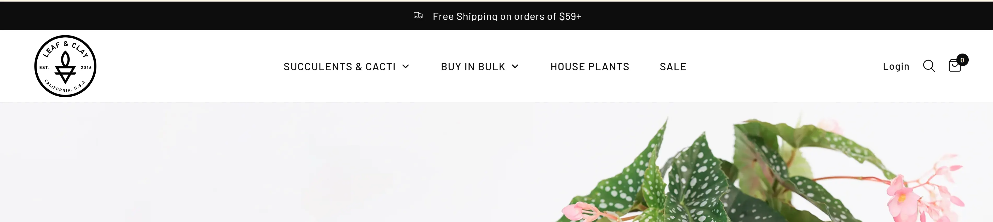 succulent-cactus-plant-brand