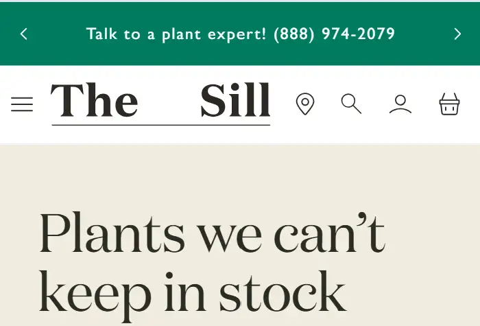 the-sill-modern-plant-and-gardening-brand