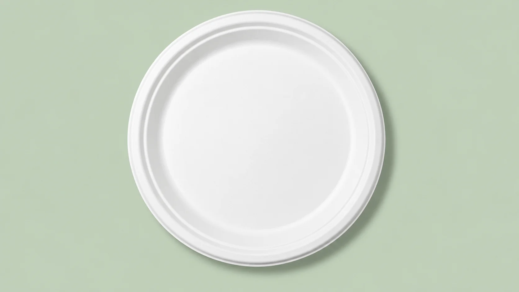 11 Inch Round Plate