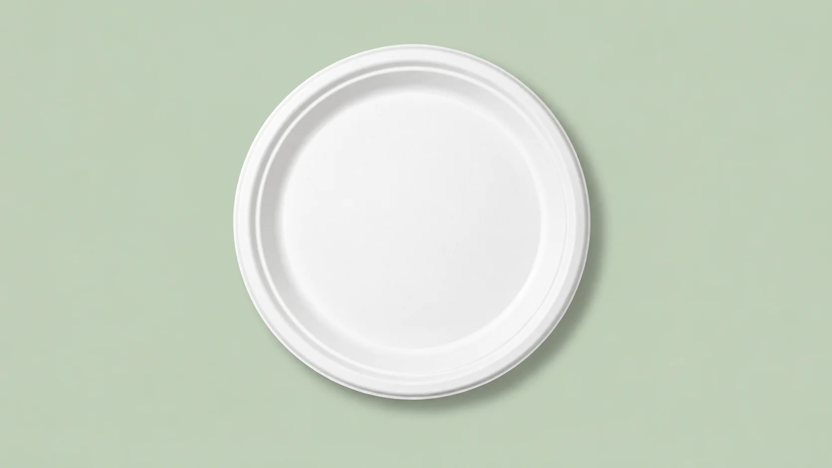 7 Inch Round Plate