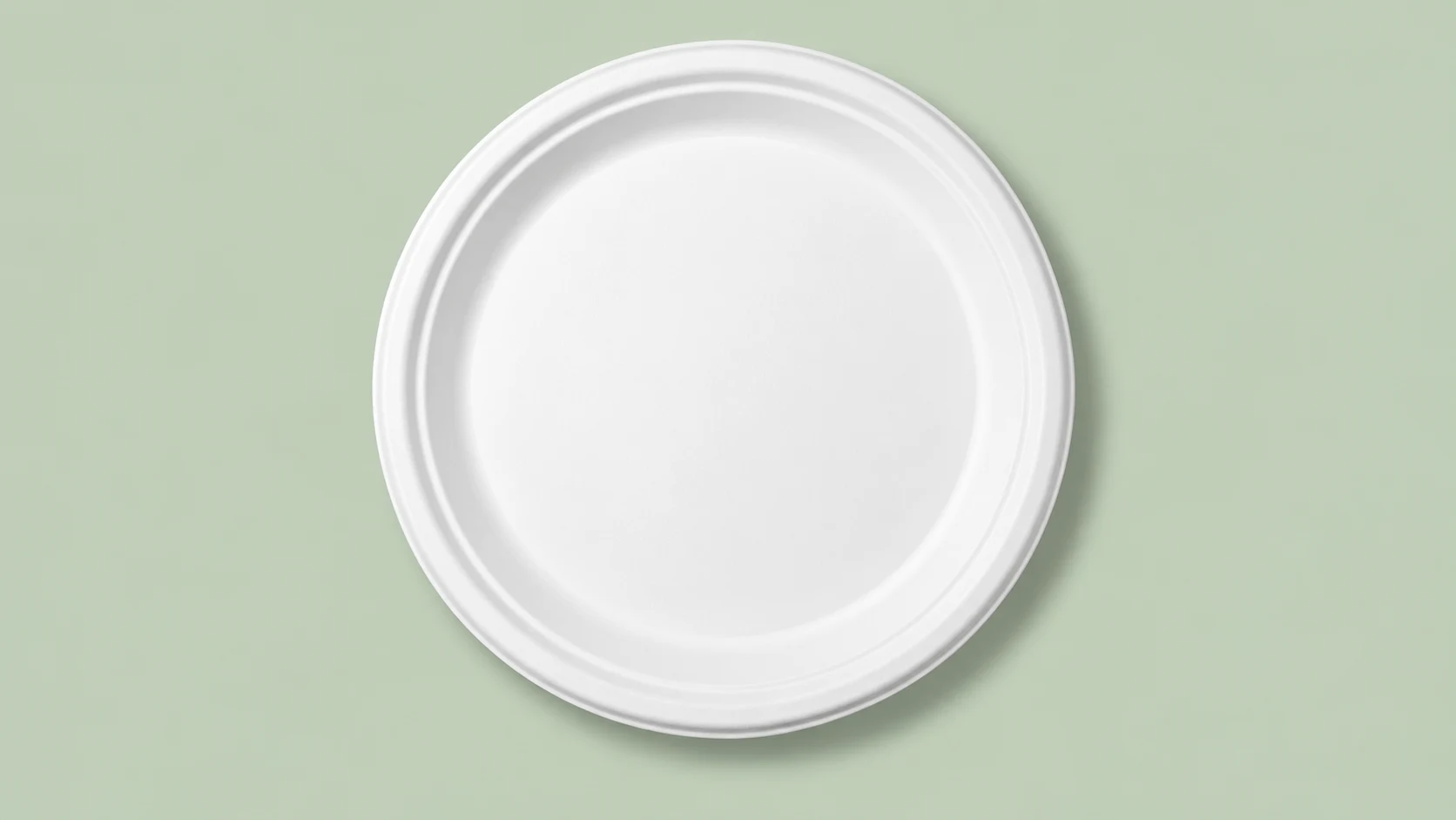 9 Inch Round Plate