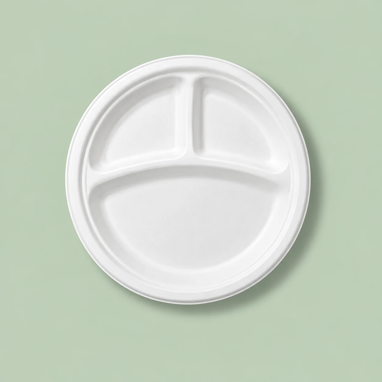 10 Inch 3 Compartment Round Meal Tray Plate