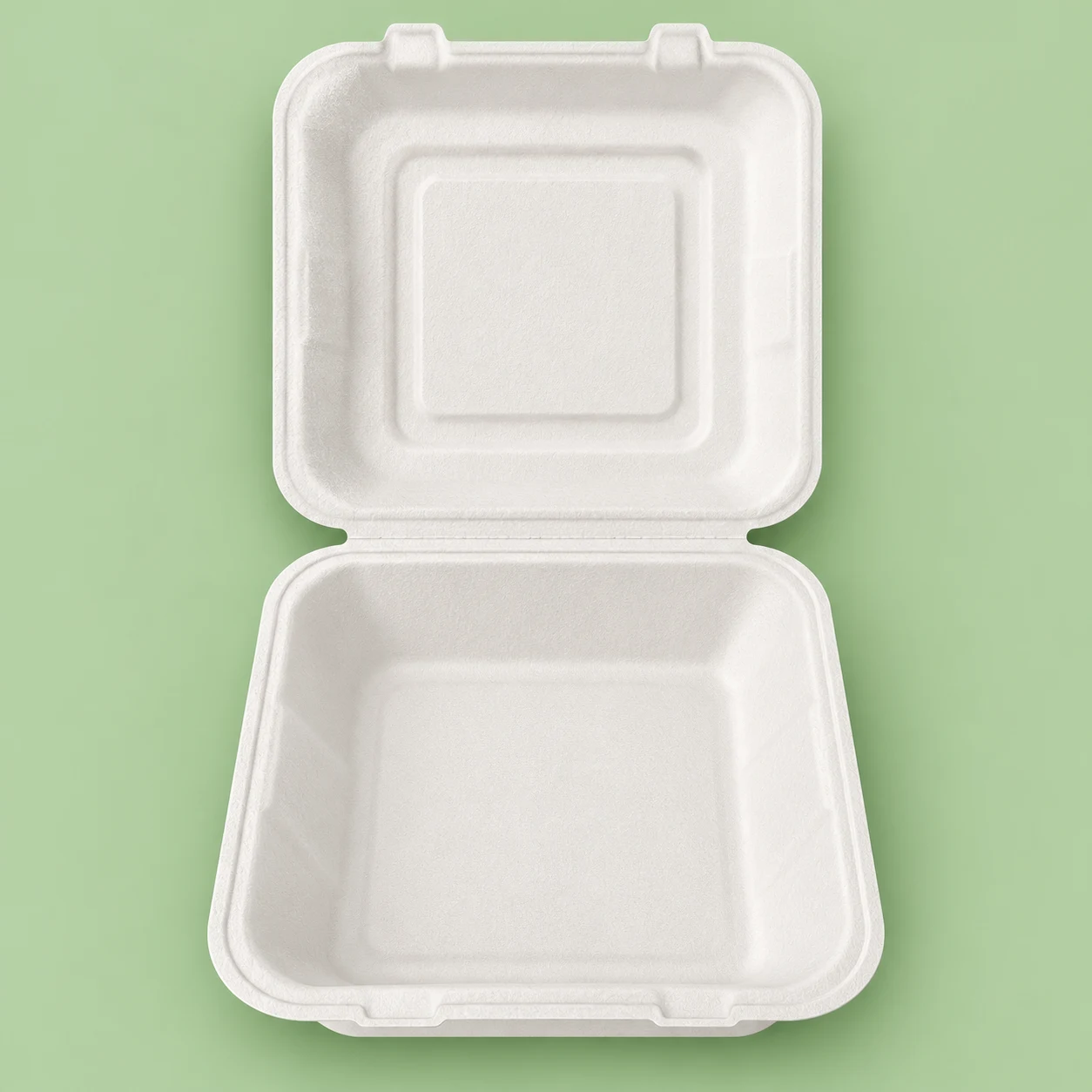 9x9 Eco-Friendly Sugarcane Bagasse Takeaway Clamshell Box