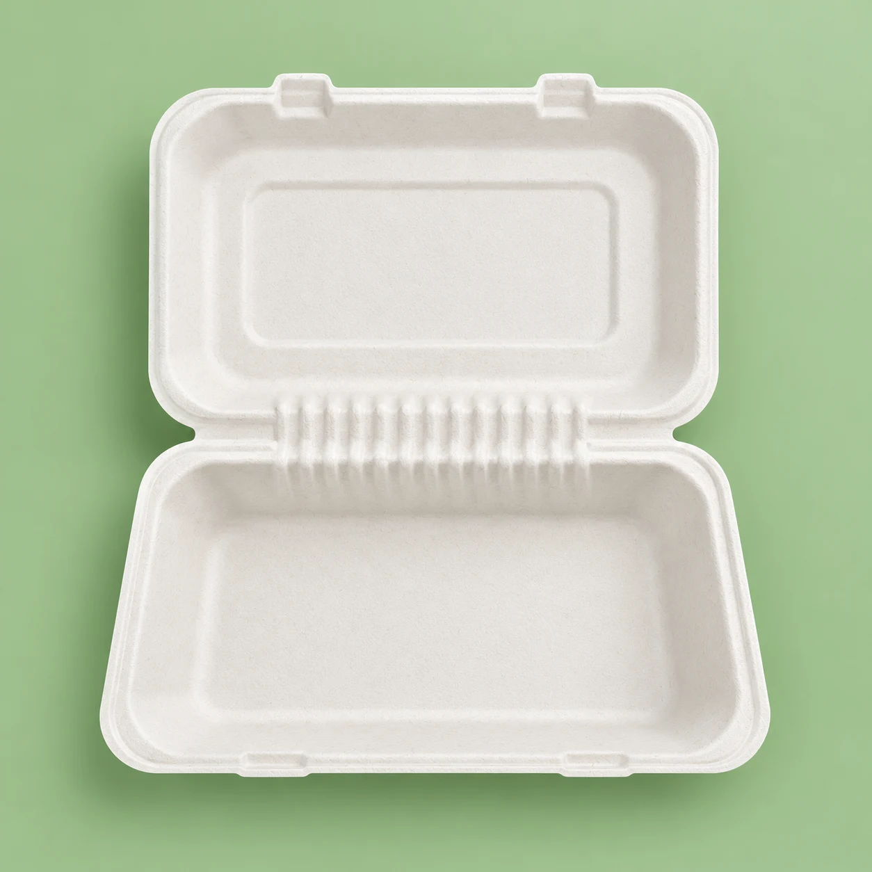 9x6x3 Sugarcane Bagasse Rectangular Takeaway Clamshell Container