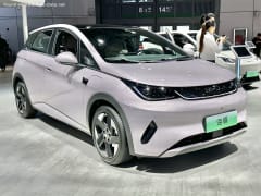 Dolphin 45.12 kWh (177 Hp) Electric