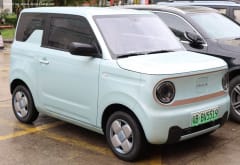 Panda Mini 17.03 kWh (41 Hp) Electric