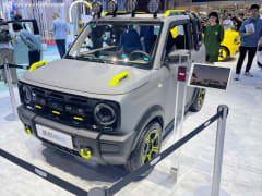 Panda Mini 17.03 kWh (41 Hp) Electric