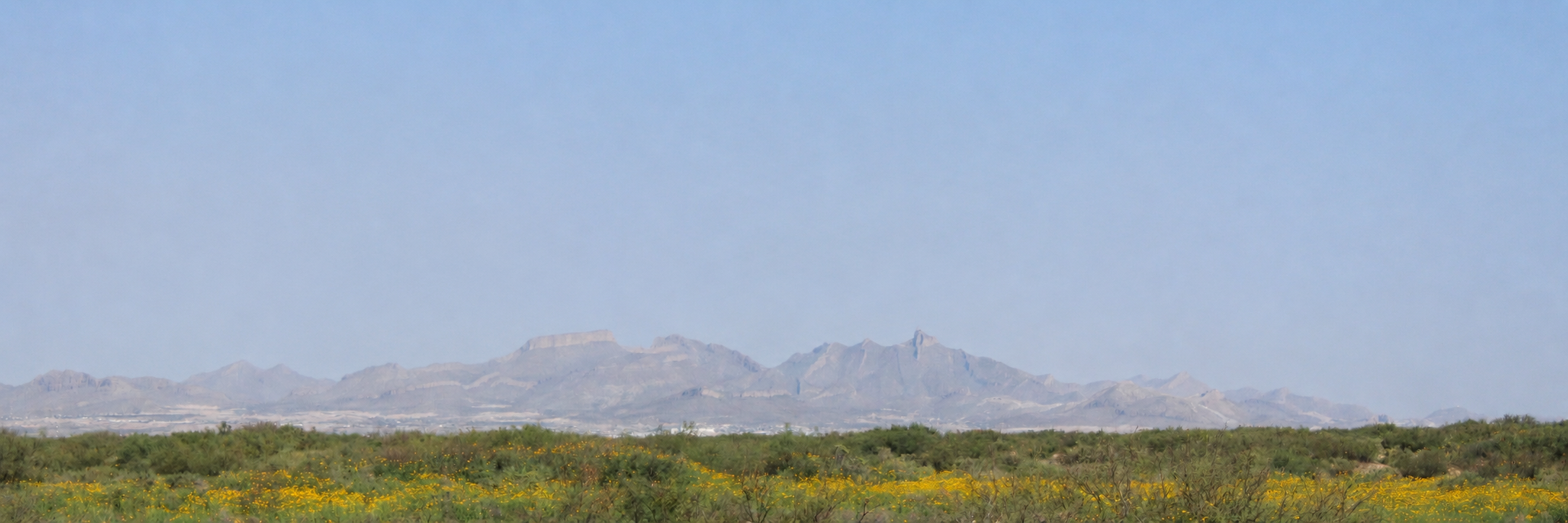 APOYA DONANDO