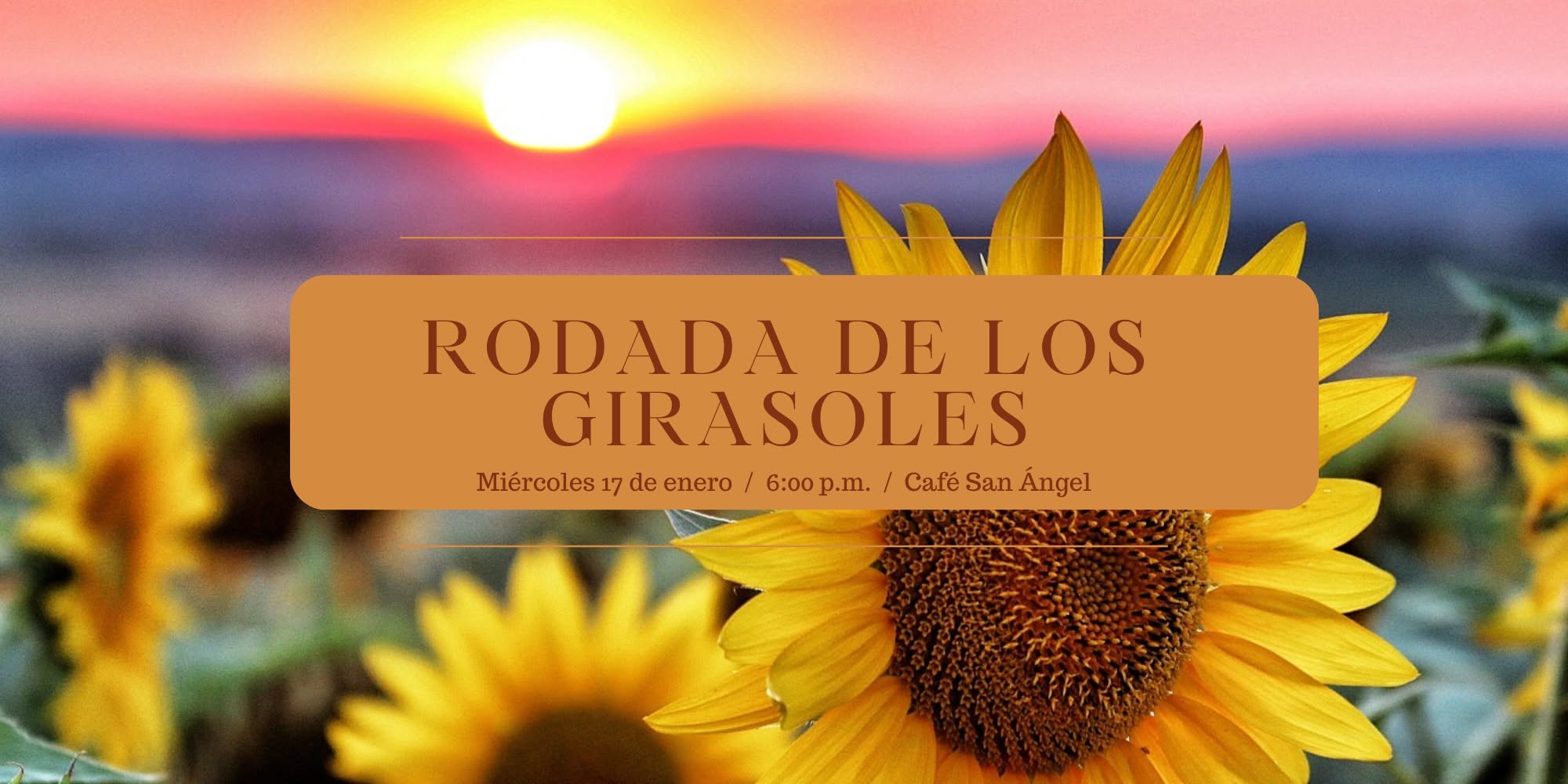 Rodada de los girasoles