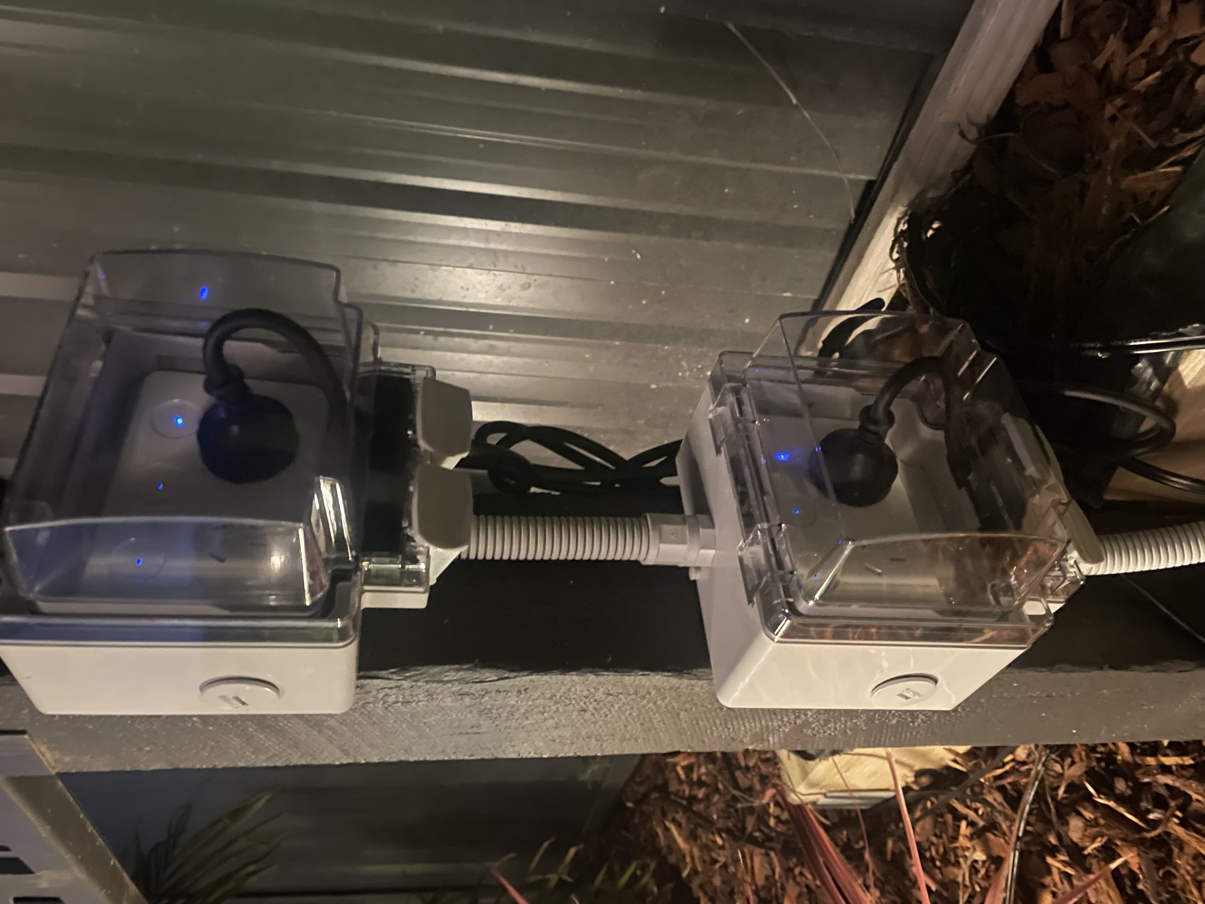 Clifton Springs Garden Lighting: 20 Points, Zero Disruption — finished result