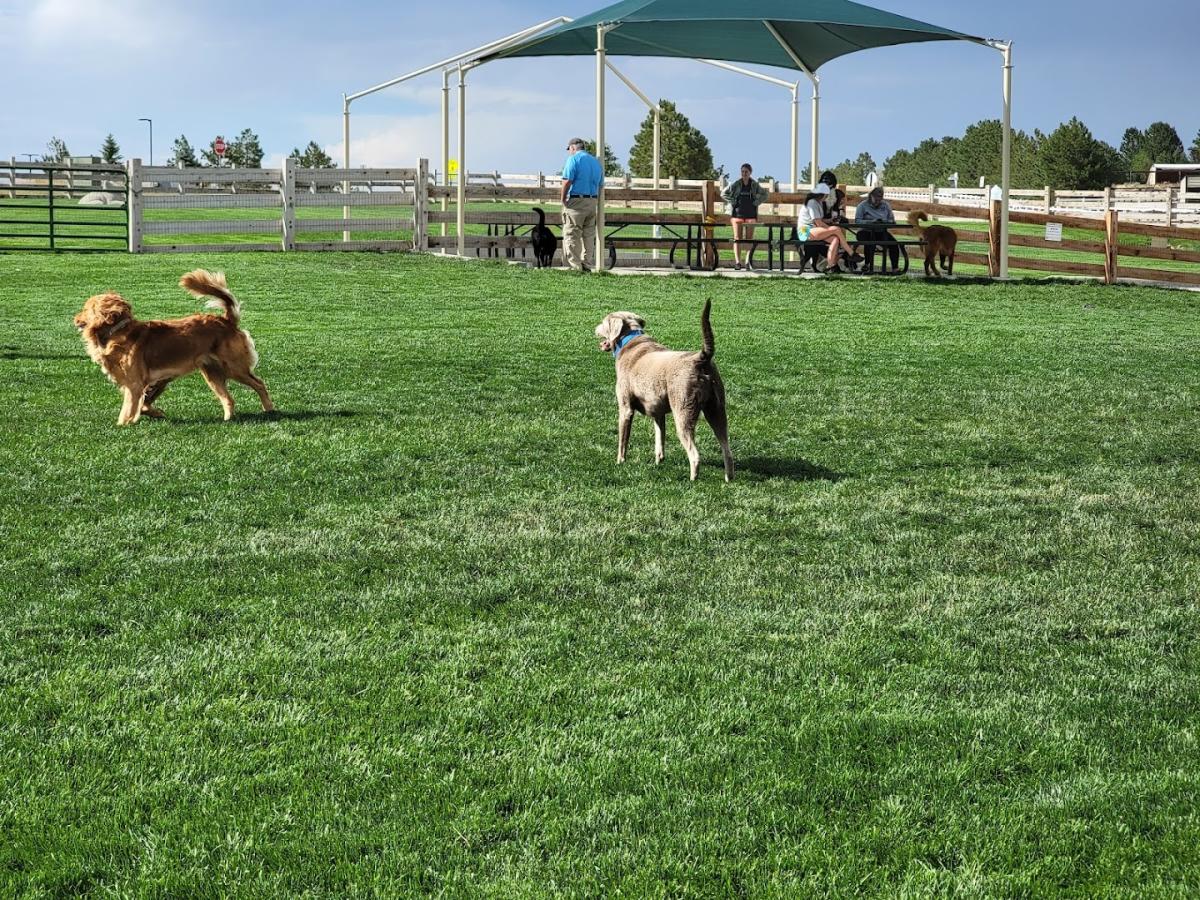 Bayou Gulch Dog Park park in Parker, Colorado