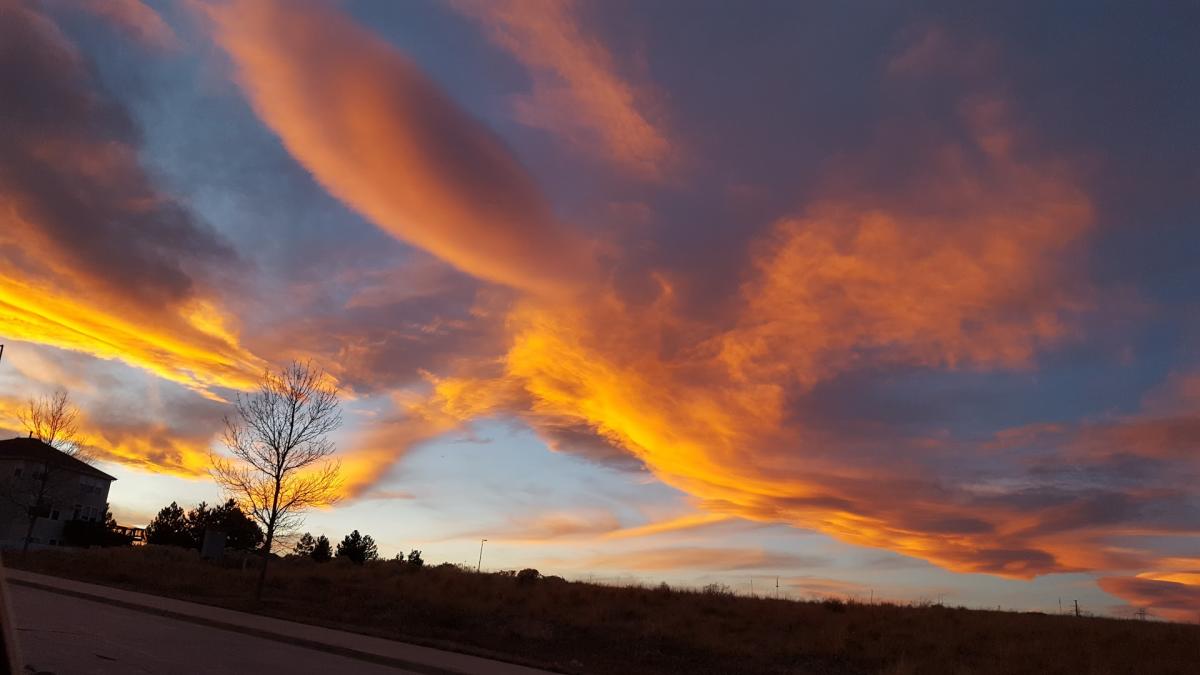 Coyote Ridge Park park in Castle Pines, Colorado