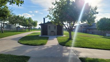 Pinery Park atmosphere and seating