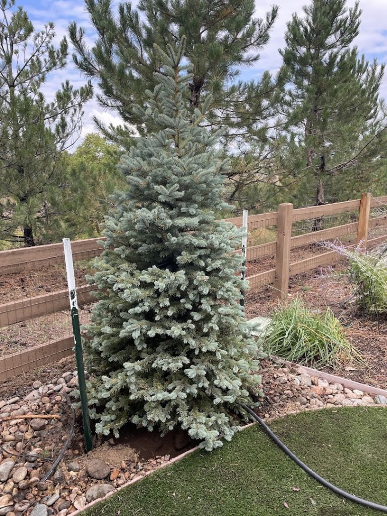Interior view of Front Range Landscape and Nursery