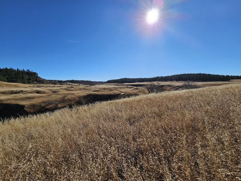 Falls Spur featured offerings
