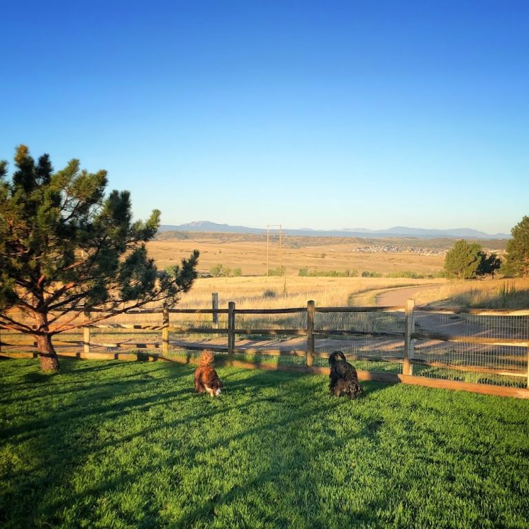 Bayou Gulch Dog Park atmosphere and seating