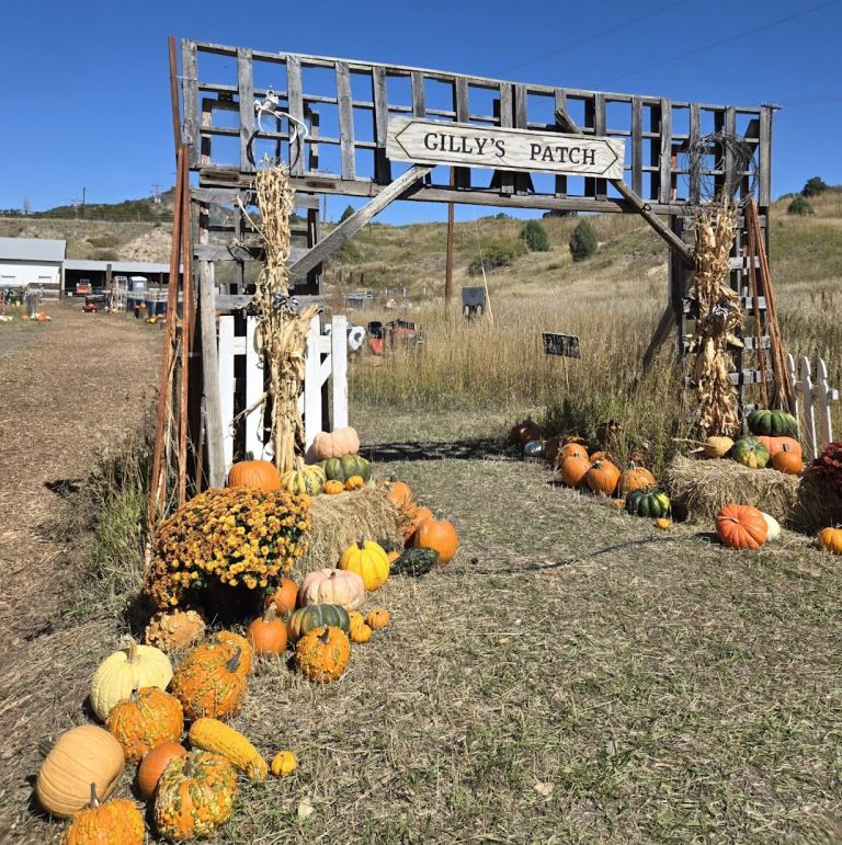 Gilly's Pumpkin Patch dining area