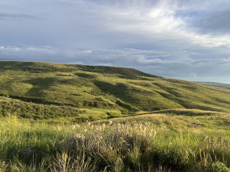 Bluffs Regional Park Trail atmosphere and seating