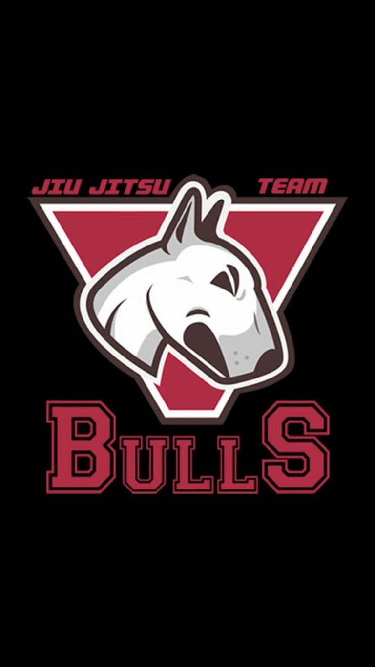 Bulls Jiu Jitsu Colorado featured offerings