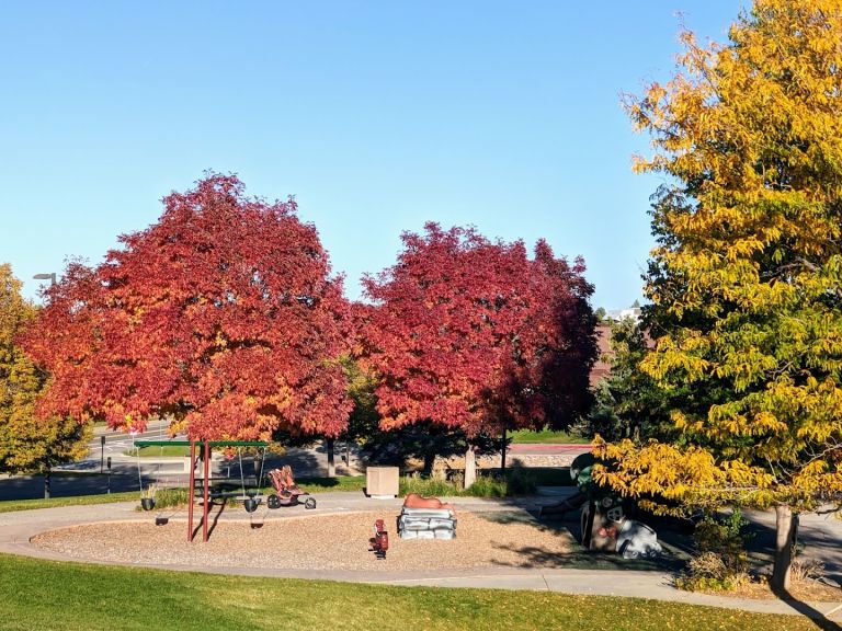 Cougar Run Park exterior entrance