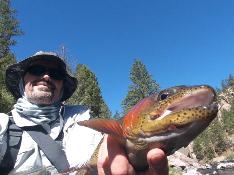 Cheesman Canyon featured offerings