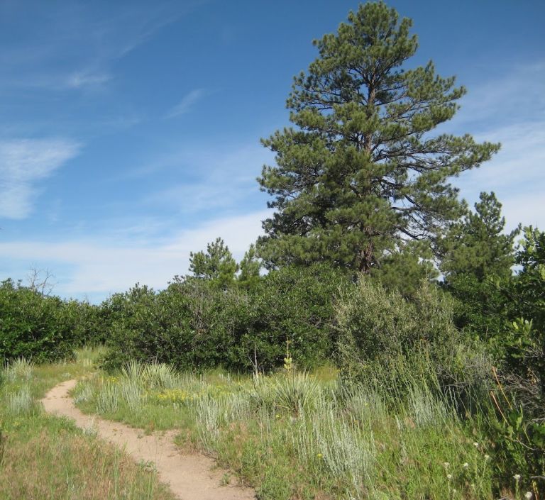 Memmen Ridge Open Space featured offerings