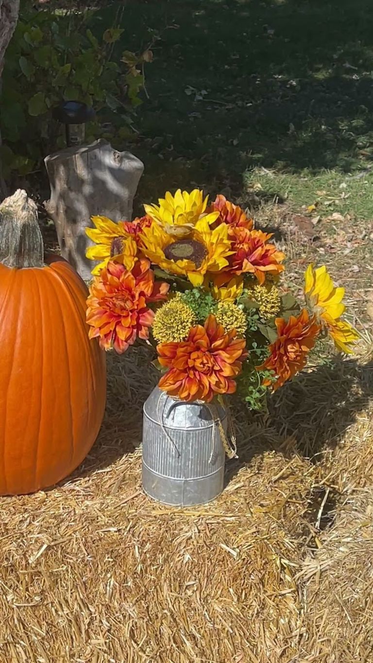 Interior view of Barnside Pumpkins