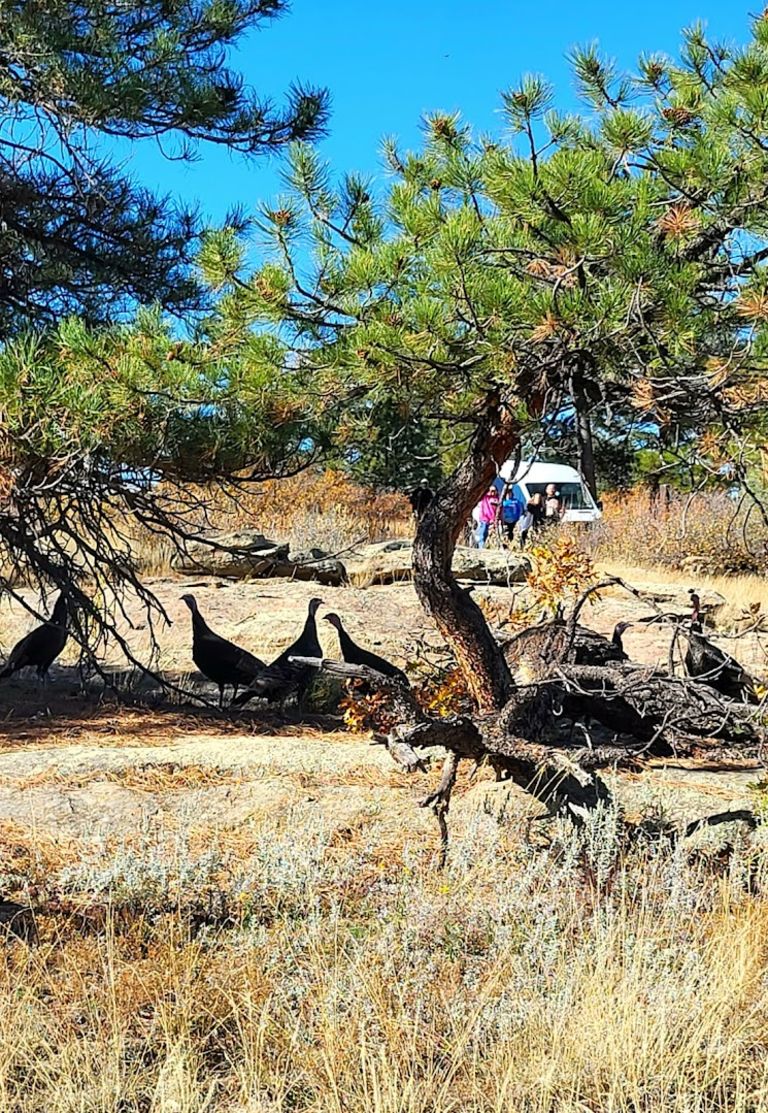 East Canyon Preservation Trail atmosphere and seating