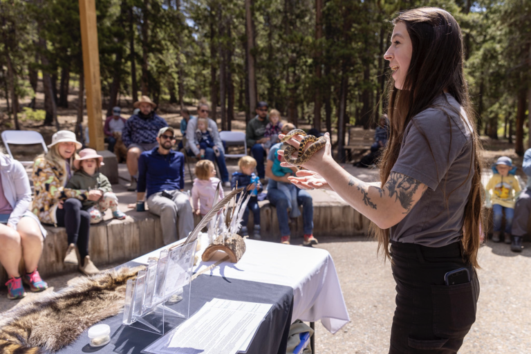 Rocky Mountain Wildlife Alliance photo 2