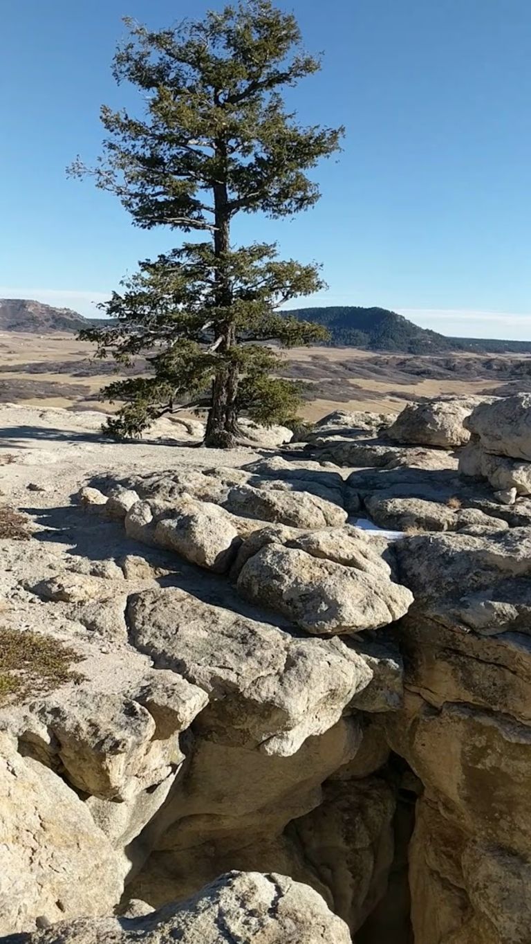 Interior view of Spruce Mountain Open Space Trail